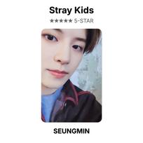 Stray Kids 5-STAR Official Photocard LEE KNOW gray