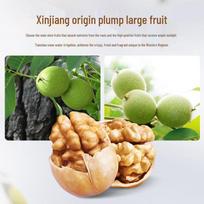 Haoxiangni plonžievių graikinių riešutų