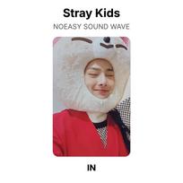 Stray Kids NOEASY SOUND WAVE Official Photocard I.N