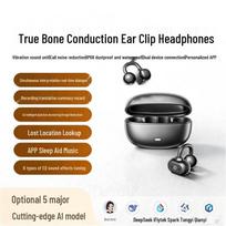 aigo SA09 AI Smart Translation Bone Conduction Bluetooth Headphones Ear Clip (IPX5 Waterproof) pilka spalva