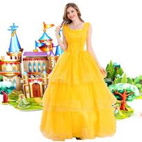 Golden Cinderella Bell Princess Dress Costume, Fairy Tale Adult Uniform Halloween Ball Costume S