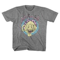 Def Leppard Pastel Leppard 2 Graphite Heather Youth T-Shirt XL