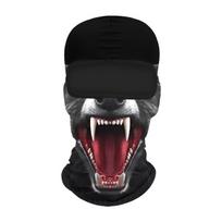 Summer Cooling Balaclava Face Hood, Quick Dry Stretch Neck Gaiter, Anti-UV Windproof Cover for Outdoor Hiking Running E01