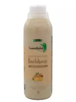 Mėmelio fermentuotas BACTOHOUSE imbierų skonio 1000 ml.
