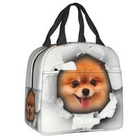 Cartoon Pomeranian Lunch Boxes Women Multifunction Spitz Dog Thermal Cooler Food Insulated Lunch Bag Office Work 22x20x13cm