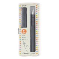 PILOT Kakuno Fine Nib FKA1SRGYF Pen, Gray, pilka spalva