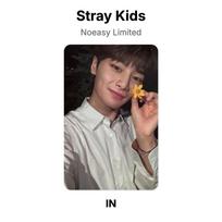 Stray Kids Noeasy Limited Official Photocard I.N