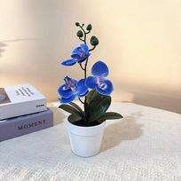 Kompaktiškas dizainas Dirbtinė gėlė Augalas Phalaenopsis Bonsai Lengva formuoti 1pc
