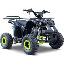 WILDPEAK 110cc keturratis, benzininis, žalias