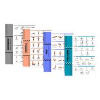 4Pcs Yoga Dumbbell Workout Poster Set Full Body Strength Stretching & Bodyweight Exercise Chart for Home Gym Illustrated Fitness Guide for Beginners Sets