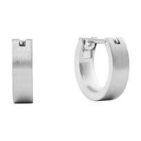 Daniel Wellington Line jewelry series solid color design earrings for men and women, couple style, silver DW00401982 sidabras