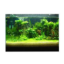Akvariumo fonas Plakatas Žuvų fonas PVC Povandeninis dekoras Popierinis lipdukas lipdukams 61x30cm