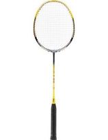 Badmintono raketė su dėklu NILS NR419 Carbon