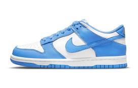 Nike Dunk Low UNC (GS) 36