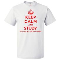Camiseta Keep Calm and Study Stellar Nucleosynthesis Camiseta DivertidaSe abre en una nueva ventana o pestaña L