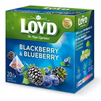 Vaisinė arbata LOYD, gervuogių ir mėlynių skonio, 20 x 2g