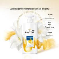Pantene Pro-V Repair Anti-Dandruff & Silky Smooth Shampoo Set