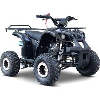 Keturratis WILDPEAK 110cc, juodas