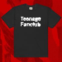 Teenage Fanclub Logo Shirt | Indie Alt Rock Lemonheads Sugar Superchunk 4XL