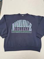 Vintage 90s Normandale College Crewneck Bloomington MN XL L