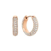 Daniel Wellington Xingyao Light Luxury, High-end and Elegant Synthetic Cubic Zirconia Brass Earrings for Women DW00400627 mėlyna