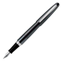 PILOT Cocoon Fountain Medium Metallic FCO3SRMGYM Pen, Nib, Gray,