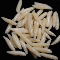 Tvirtumas Silicio sliekų žvejybos masalas Bionics Minkštas masalas Maggots Shape Tackle Road Asia Masalas No Luminous