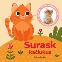 Surask kačiukus (knyga su defektais) - Gabjota Alūzaitė, Eglė Wildheart