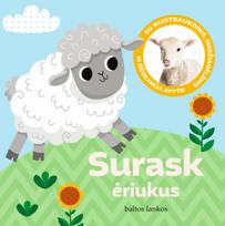 Surask ėriukus (knyga su defektais) - Gabjota Alūzaitė, Eglė Wildheart