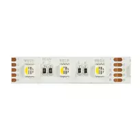 Synergy 21 LED juostelė Flex Strip 5050 - 60 RGB DC24V + RGB-W vienas lustas KW IP68