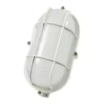 Synergy 21 LED rūsio šviestuvas / ovalus šviestuvas IP65 5W šviesiai balta