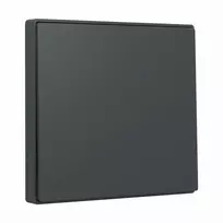 Gira System 55 Wippe 329628 Antracito jungiklio svirtelė moduliniams rėmeliams