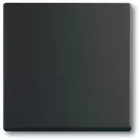 Jungiklis Busch-Jaeger 1751-0-3041, plastikinis korpusas, juodos spalvos, mygtukas, 63×63 mm