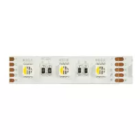 Synergy 21 LED juostelė Flex Strip 5050 - 60 RGB DC24V + RGB-W vieno lusto ŠV baltai IP20