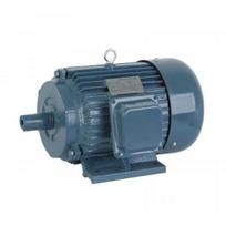 Elektros variklis 4 kW (419)