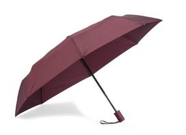 Automatinis skėtis REGO bordo sp. BC37044-11