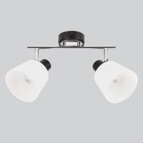Lubinis šviestuvas Candellux Biloba 2x40W E14 stiklinis gaubtas