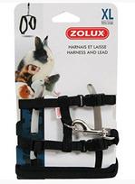 Zolux Braškės ir pavadėliai triušio XL col. juoda