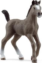 Schleich HORSE CLUB Cheval de Selle Francais veislės kumeliukas
