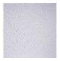 Plokštė luboms 600x600x12