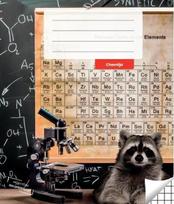 Chemijos sąsiuvinis, langeliais, 36 lapai., SUKVSO5010642386252