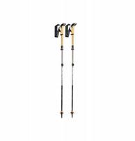 Leki LEKI lazdos TREKKING MAKALU FX CARBON AS pale clay metalic-white-silver C 100-120 | 694081 | 4028173394869