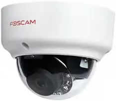 Shenzhen FOSCAM D2EP 2MPix P2P IK10 IR 20m balta kamera