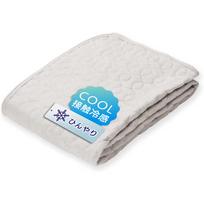 Iris Plaza Rayon Cooling Mattress Pad Natural Keeps You Dry and Supple Silk Antibacterial and Machine Terry Summer Cooling Silver Gray 100% -