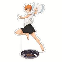 Juniorų akrilinis stovintis tinklinio prekės ženklas Mažas tinklinis Haikyuu!! Hyuga Xiangyang Yingshan Feixiong Kūrybinis ornamentas 15CM*3PCS beige