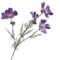 Artificial Cosmos Bipinnatus UV Resistant Fake Silk Galsang Flower Home Office Wedding Party Indoor Outdoor Faux Bloom