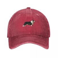 Cardigan Welsh Corgi Baseball Cap Anime Hat foam party Hat Funny hats western Hat Women Caps Unisexs