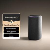 Xiaomi Smart Speaker Pro CN plug (adapter included)