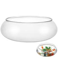 Small Aquarium Large Fish Bowl Plant Desk Vivarium for Office Desktop Tank Transparent Water skaidri