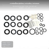 Pressure Washer Repair Kit QL280/380/388, Seal, Plunger, Pump Parts Copper Leak Alum Kit Int/Split